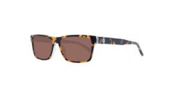 Γυαλιά Ηλίου GUESS  GU00074 53E 55