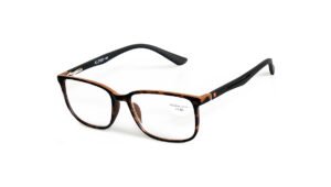 Γυαλιά Ανάγνωσης Clip-on ALPIN 10738 Ταρταρούγα - Image 2