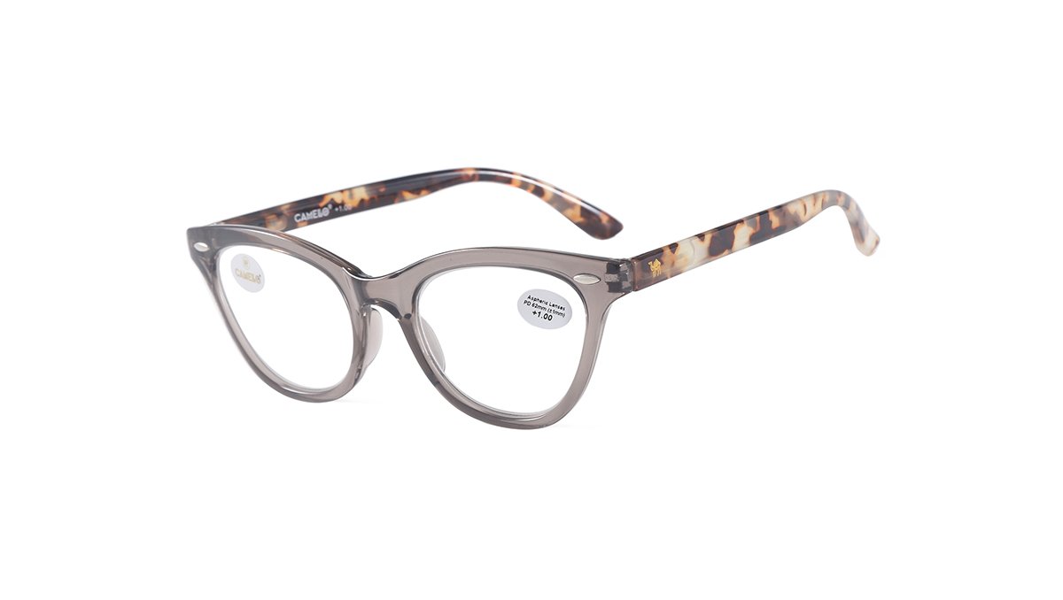 202309 GREY 1 OPTICAL Γυαλιά Πρεσβυωπίας CAMMELLO 202309 Gray - Image 1