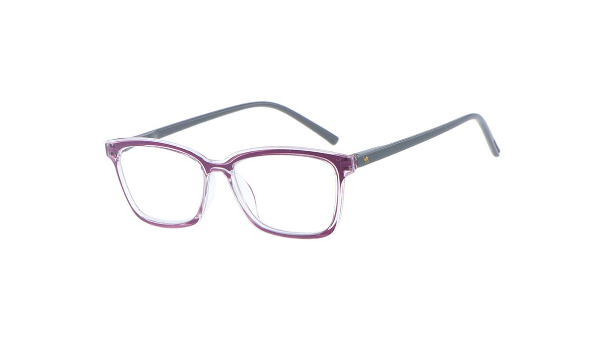 OPTICAL 6344 VIOLET+GREY Γυαλιά Πρεσβυωπίας CAMMELLO 6344 Violet - Grey - Image 1