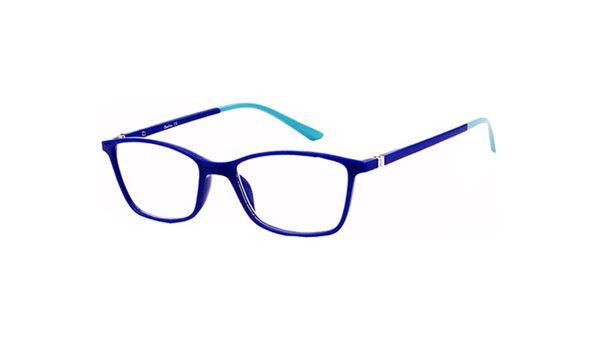 Reading Glasses 1393 OPTICAL OUTLET